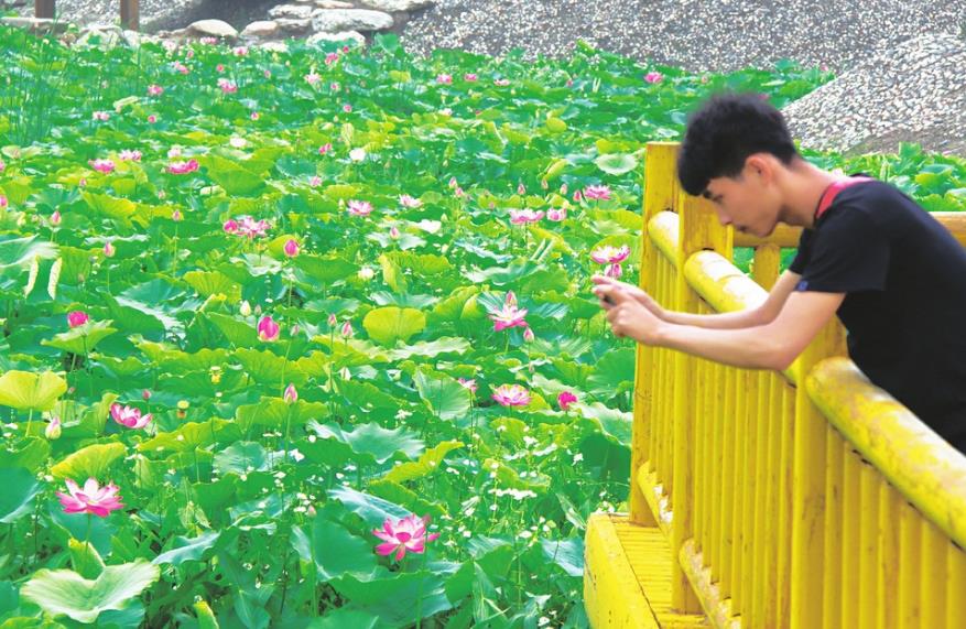 qq浏览器截屏未命名.jpg
